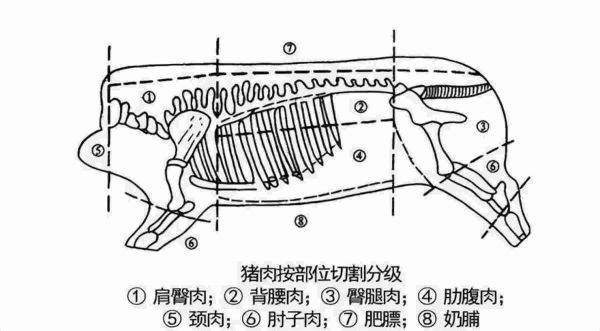 猪大排是怎么切出来的，猪肉分割知识讲解