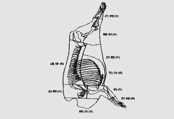 猪大排是怎么切出来的，猪肉分割知识讲解