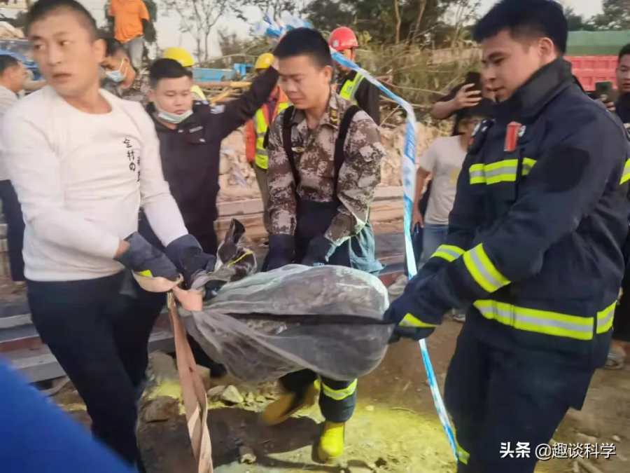 蛇到底能长到多大，盘点中国最吓人的一条巨蛇