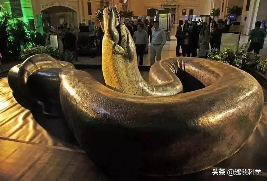 蛇到底能长到多大，盘点中国最吓人的一条巨蛇