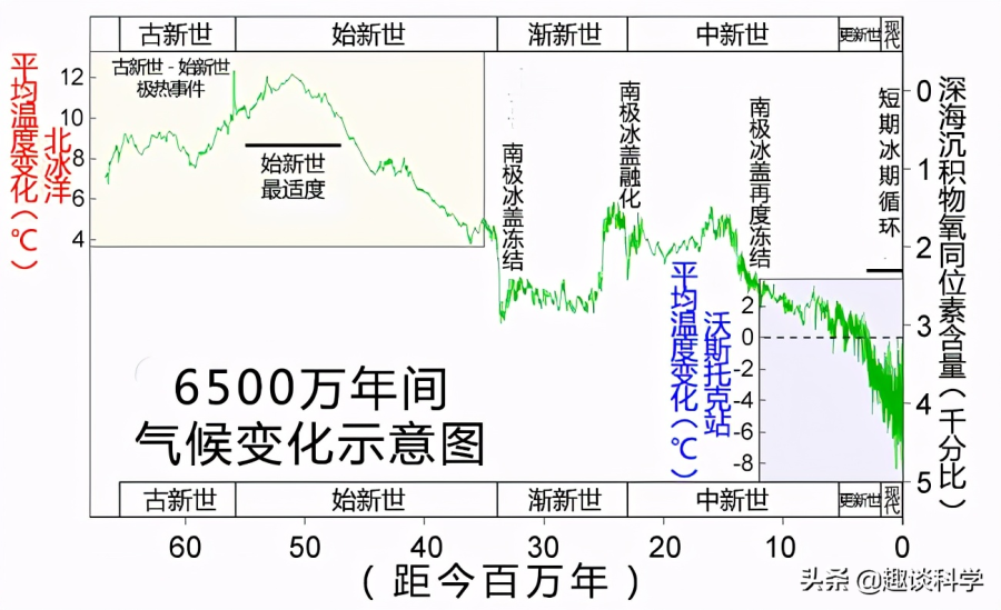 蛇到底能长到多大，盘点中国最吓人的一条巨蛇