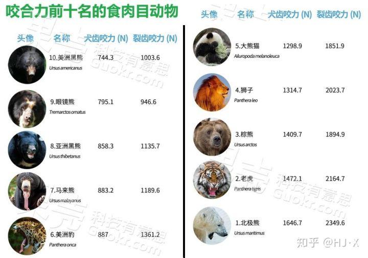 大熊猫为什么是国宝的原因，大熊猫为什么是国宝呢