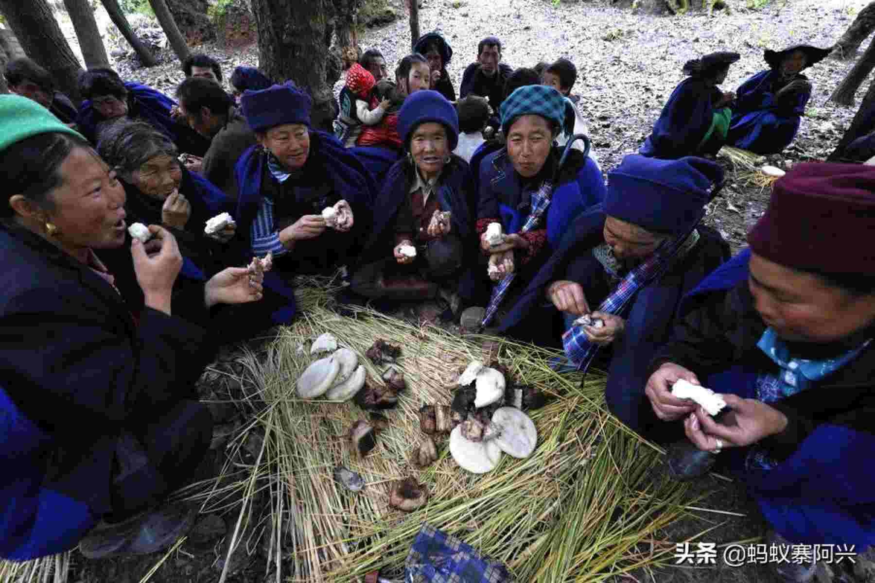 我国少数民族分布最多的省份是，云南少数民族最多的省份