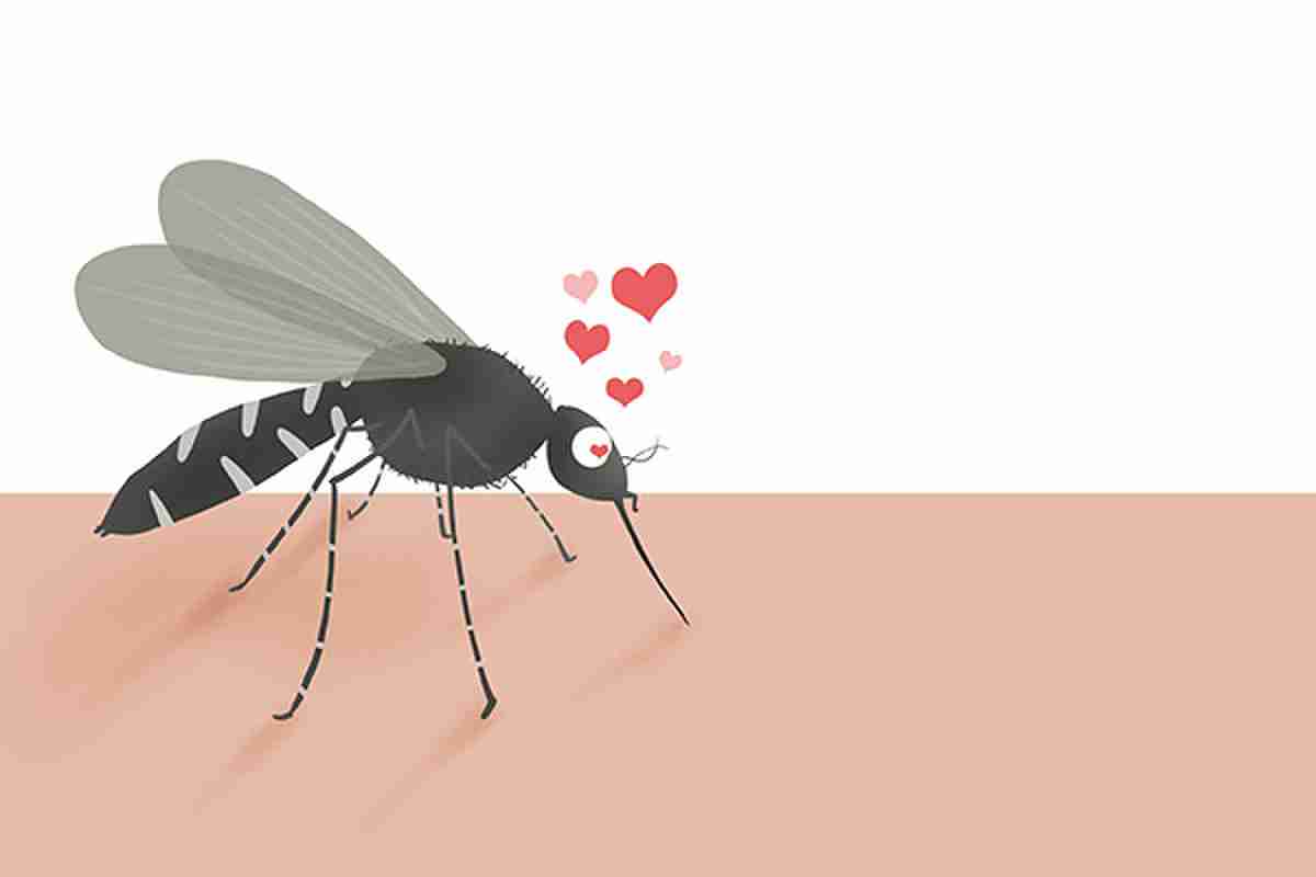 蚊子多怎么可以驱蚊方法(教你5招驱蚊的法子)