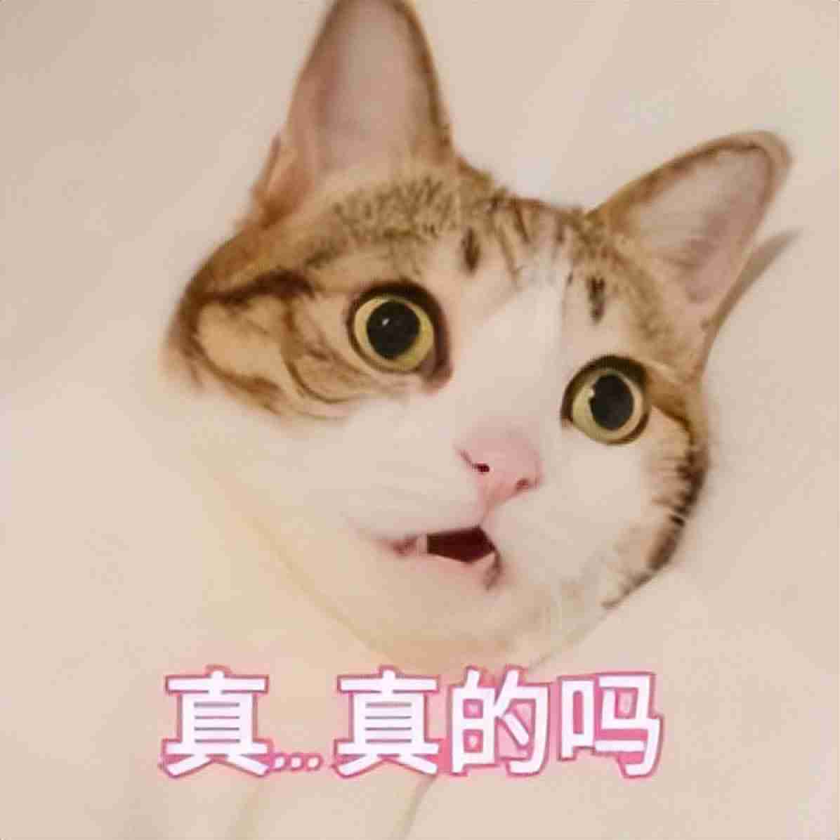 高考完买什么电脑比较好，学生用的笔记本电脑推荐
