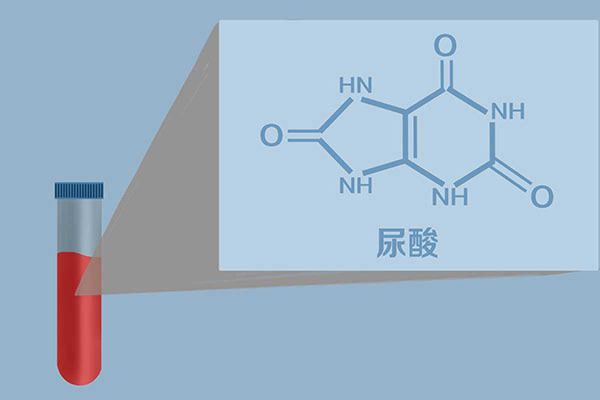 金针菇为什么叫明天见，金针菇别名“明天见”，什么原因？