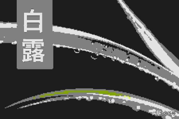 白露是什么季节的节气，白露它有哪些习俗呢