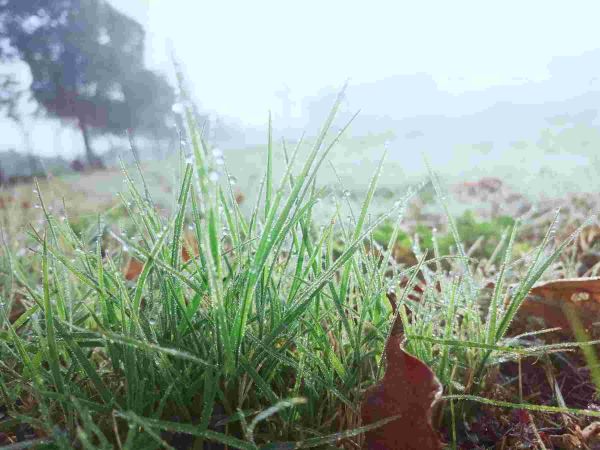 白露是什么季节的节气，白露它有哪些习俗呢