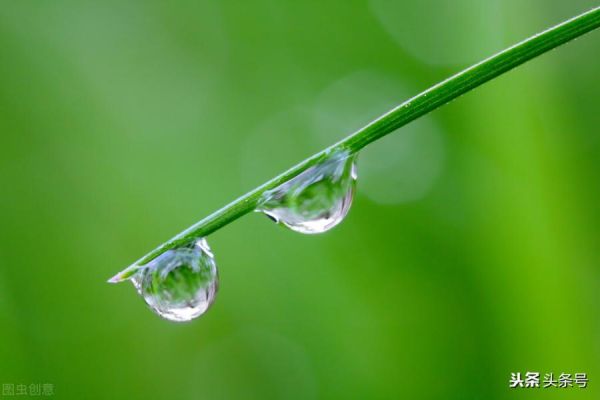 白露是什么季节的节气，白露它有哪些习俗呢