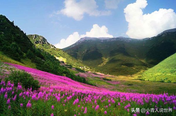 斯洛伐克是哪个国家，斯洛伐克相关简介介绍