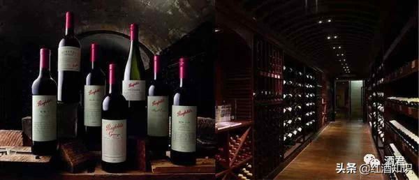 奔富是哪个国家的，超火的奔富红酒怎么选