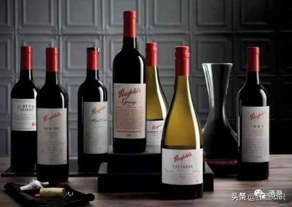 奔富是哪个国家的，超火的奔富红酒怎么选
