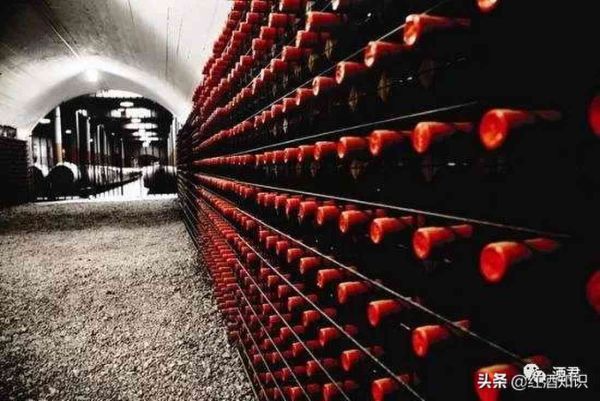 奔富是哪个国家的，超火的奔富红酒怎么选