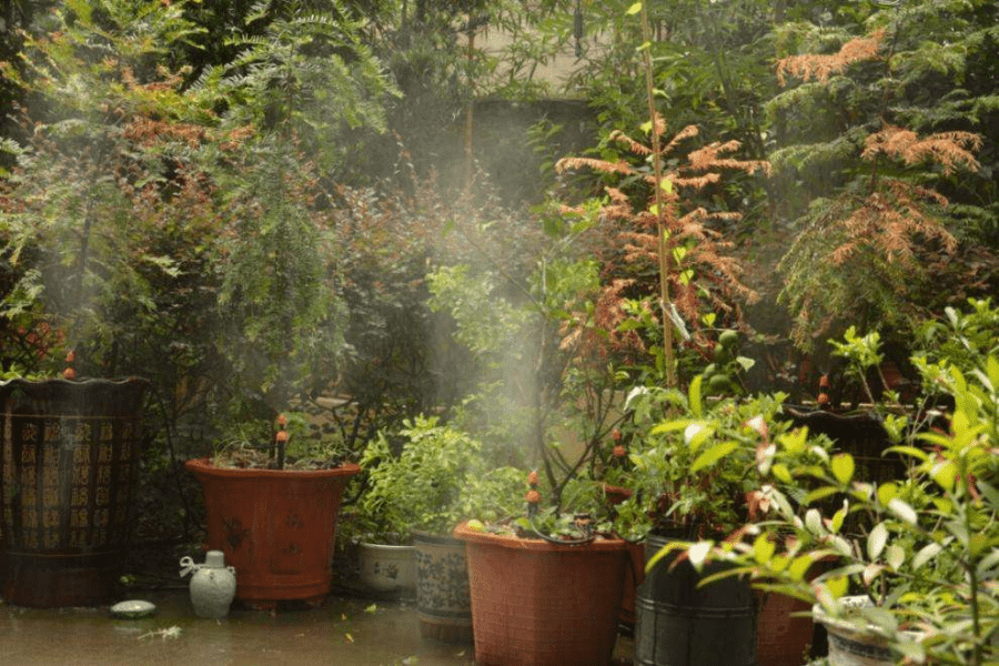 给花卉浇水应注意些什么，怎样判断盆花是否缺水