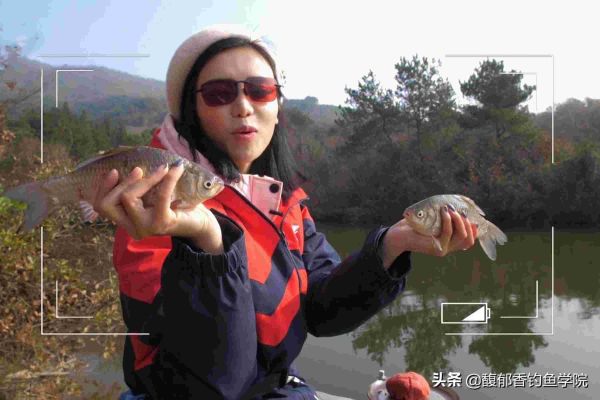 用蚯蚓蘸蜂蜜钓鲫鱼的详细用法分享