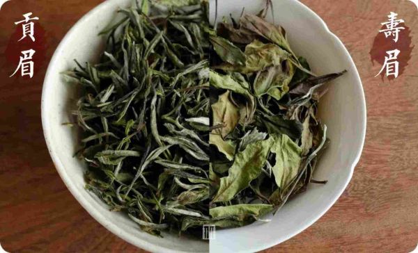 孟什维克和布尔什维克的区别，贡眉和寿眉，你分得清吗？