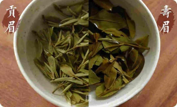 孟什维克和布尔什维克的区别，贡眉和寿眉，你分得清吗？