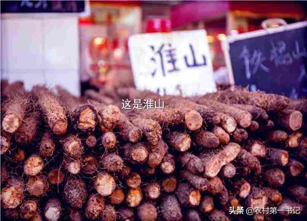 淮山和山药的区别在哪?4大点教你如何分辨！