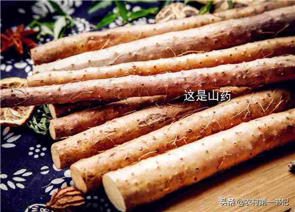 淮山和山药的区别在哪?4大点教你如何分辨！