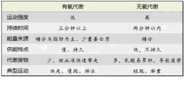 有氧无氧运动有什么区别，其实有氧和无氧本身是没有明显的界限的