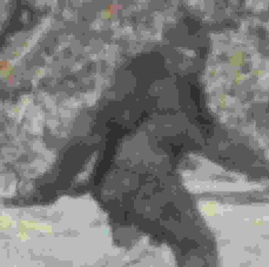 世界上有鬼的十大证据，10个科学无法解释的鬼魂现象