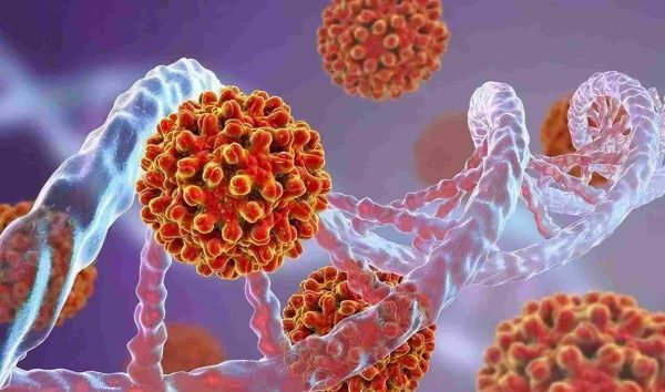 世界十大恐怖病毒排行榜（全球恐怖的10大病毒）