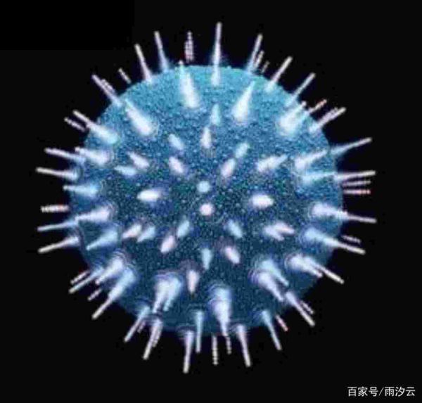 世界十大恐怖病毒排行榜（全球恐怖的10大病毒）