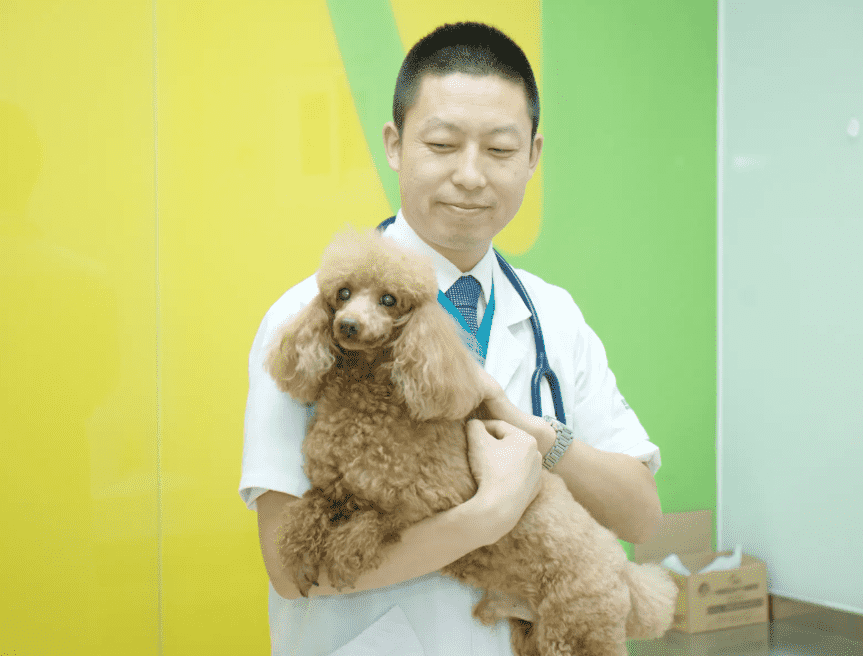 适合专科学生的十个专业，大专哪些专业好