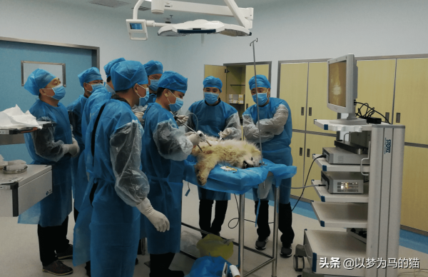 十大冷门但是高薪的专业，这10个专业专业冷门但前景火爆