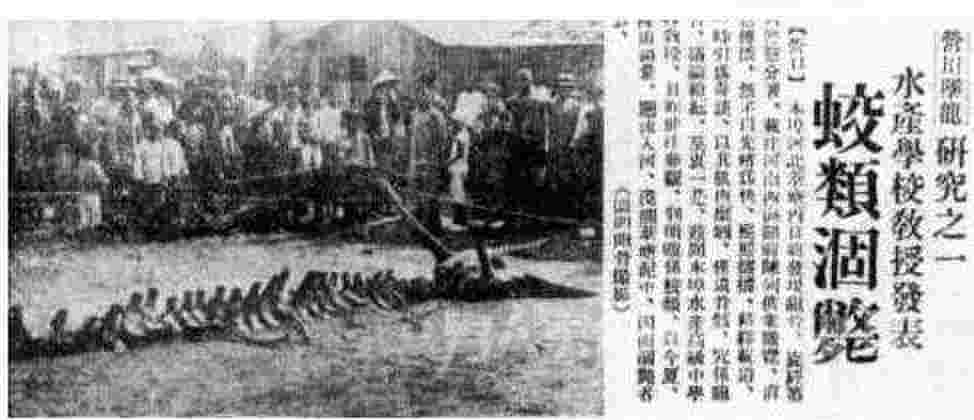 中国十大不敢公开的案件(发生在中国的十大绝密事件)