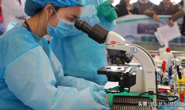 理科女生前景最好的十大专业，报考这10个专业比较靠谱