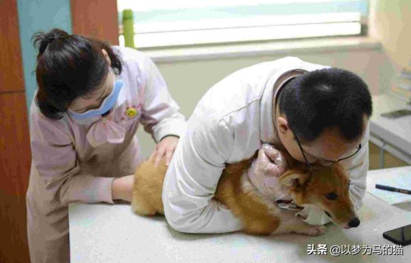 理科女生前景最好的十大专业，报考这10个专业比较靠谱