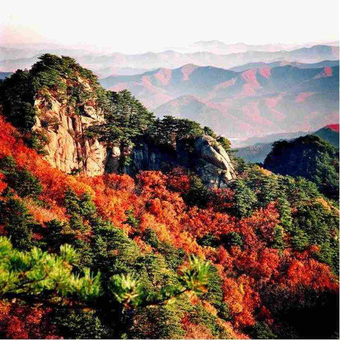 东北旅游必去十大景点(盘点东北十大最美景点)