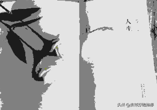 人生必看十大好书推荐，能让人受益一生的10本书