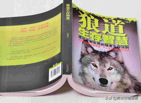 人生必看十大好书推荐，能让人受益一生的10本书
