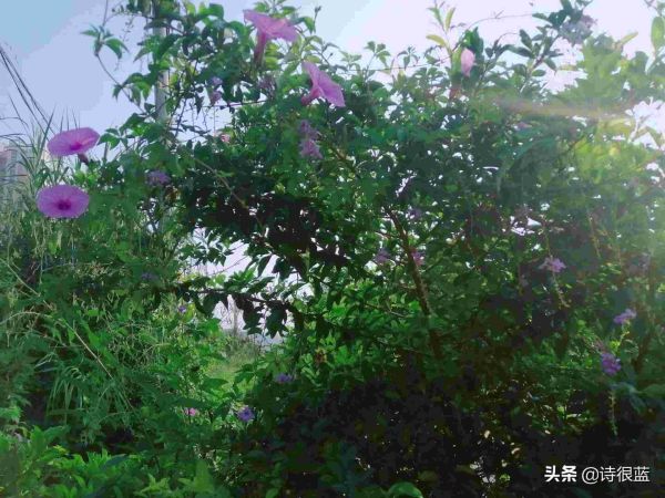 女生最吃香的十大专业是什么，女生吃香的10个专业盘点