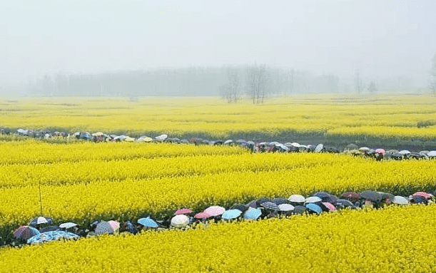 清明节有什么习俗和禁忌？