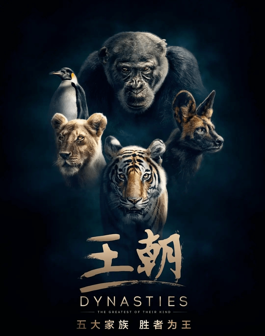 十大顶级高分儿童电影（儿童电影排行榜前十名）