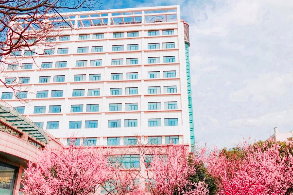 浙江十大大学排名(浙江最好的10所大学名单)