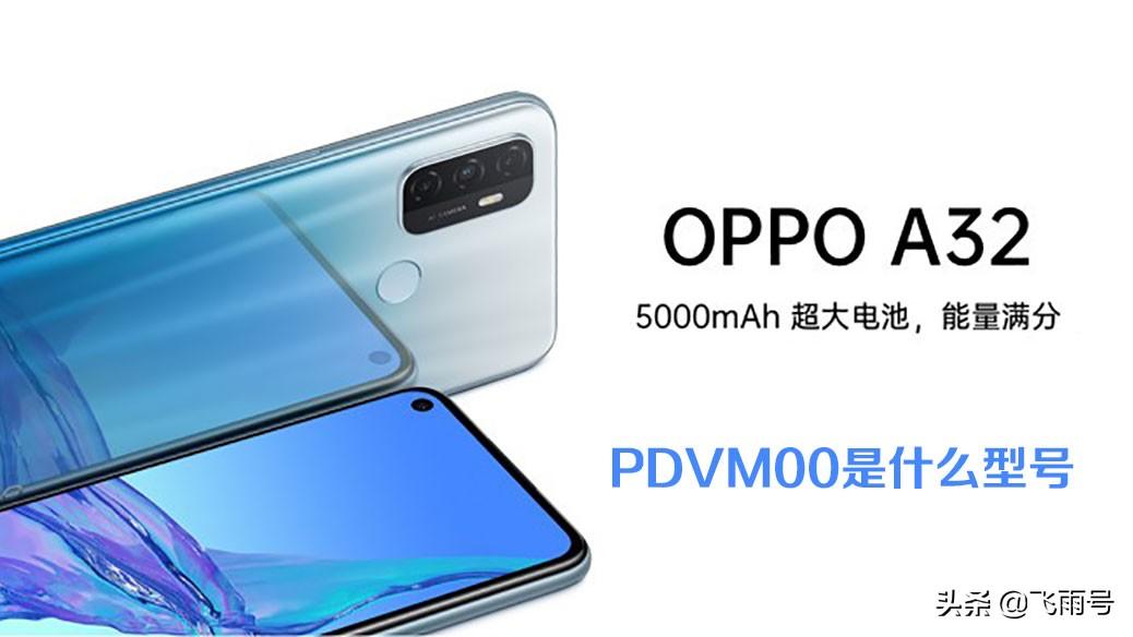 pdvmoo手机是什么型号（PDVM00的基本参数盘点）