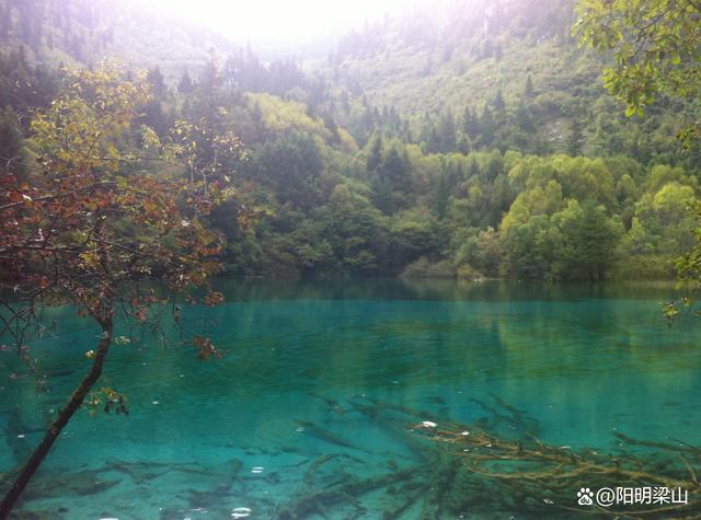中国游客最多的景点排名（中国最多的游客十大景点）