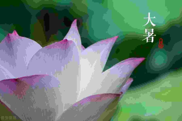 大暑是最热的时候吗，大暑一共多少天