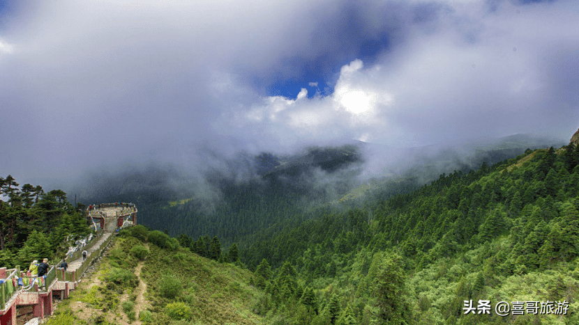 林芝必去的十大景点有哪些（林芝十大景区是哪些）