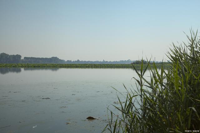 湖北省十大湖泊排名（湖北10大绝美湖泊）