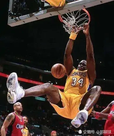 nba球衣34号的巨星（NBA球衣34号十大球星）