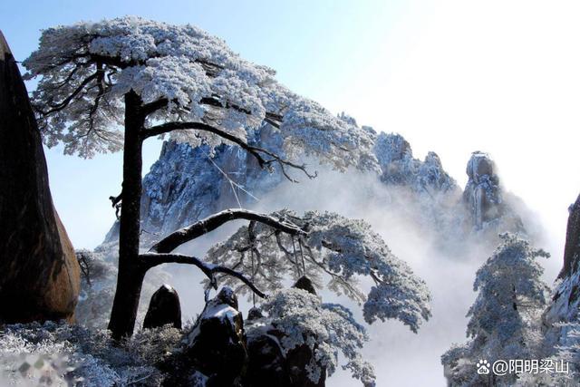 中国游客最多的景点排名（中国最多的游客十大景点）