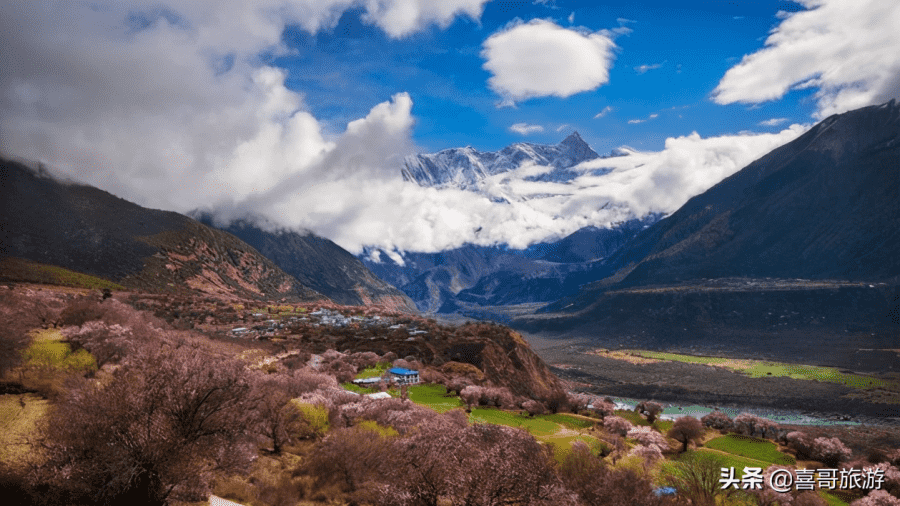 林芝必去的十大景点有哪些（林芝十大景区是哪些）