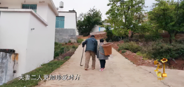 最应该崇拜的十大人物（2021《感动中国》十大楷模人物）