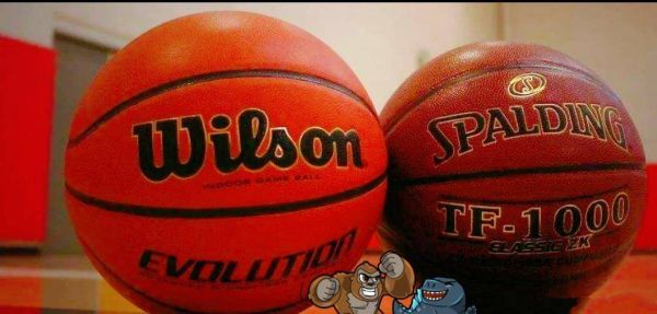 2022NBA官方用球（NBA2022赛季将启用威尔胜篮球）