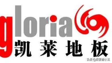 中国十大地板品牌排行榜（2022年十大地板品牌）